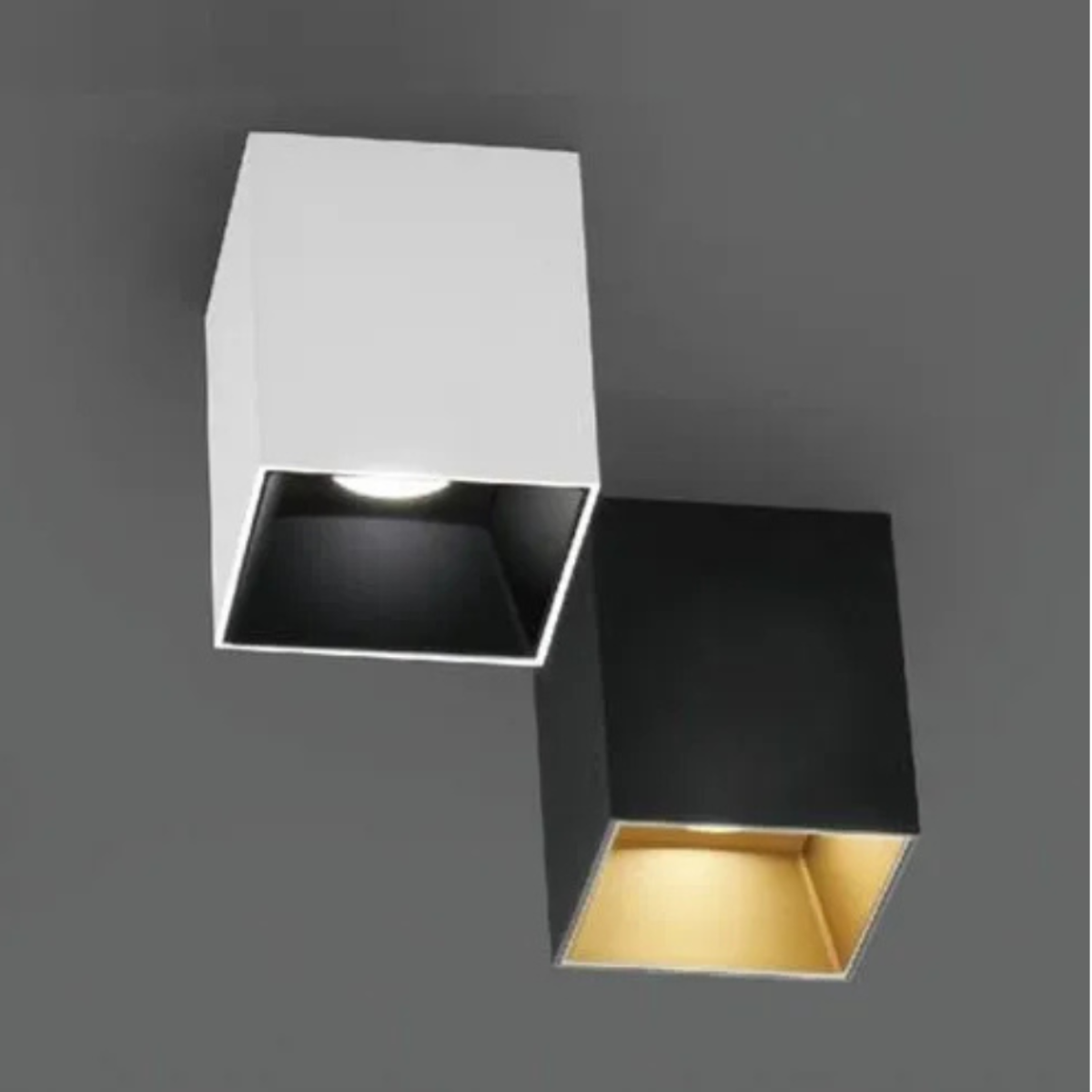Example Image